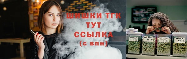 молекула духа Михайлов