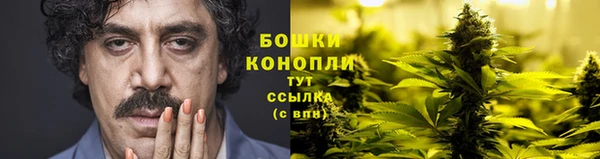 молекула духа Михайлов