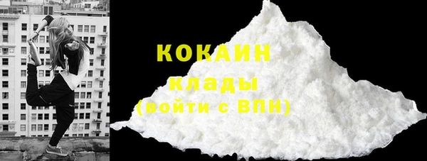 молекула духа Михайлов