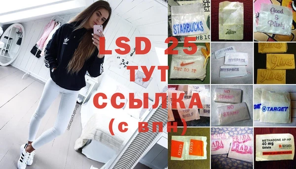 ПСИЛОЦИБИНОВЫЕ ГРИБЫ Михайловка