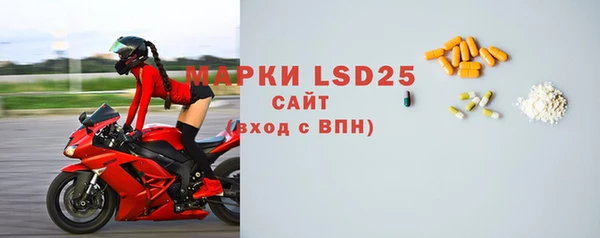 молекула духа Михайлов