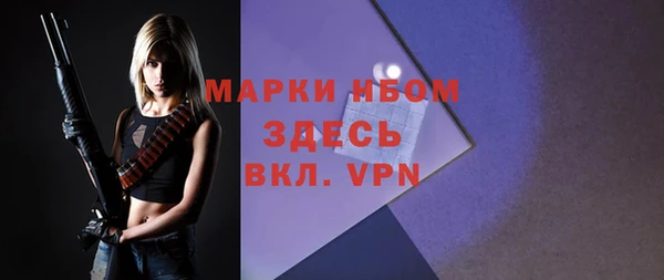 молекула духа Михайлов