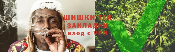молекула духа Михайлов