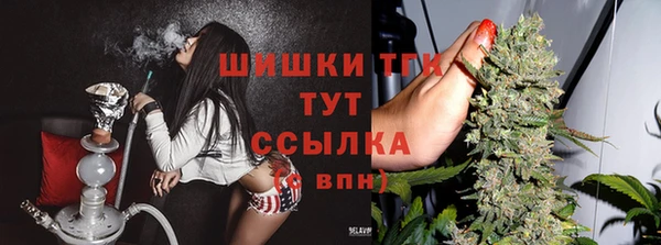 ПСИЛОЦИБИНОВЫЕ ГРИБЫ Михайловка
