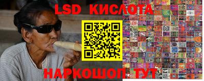 крисы Кинель